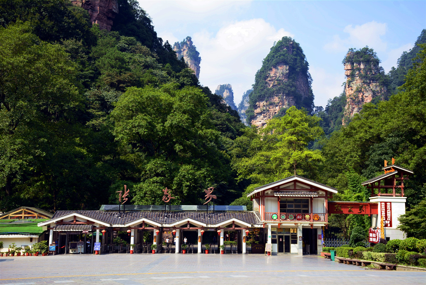 zhangjiajie national park .webp